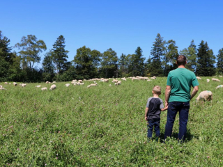 Darryl Stoltz with son checking on the heard Darryl Stoltz with son checking on the heard