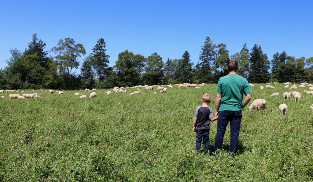 Darryl Stoltz with son checking on the heard
