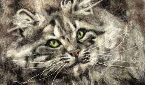 The Snazzy Sheep work sample of a kittens face