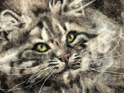 The Snazzy Sheep work sample of a kittens face