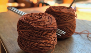 Stephanie Pearl McPhee - Knit Smart Lecture